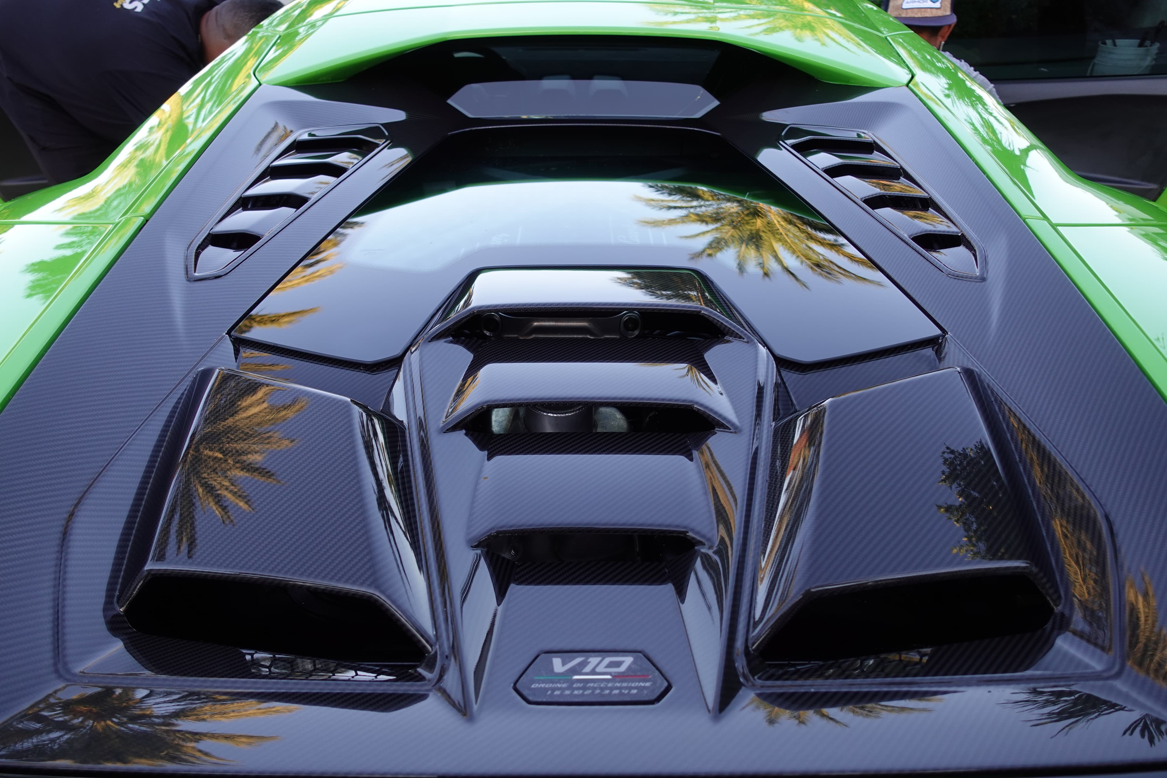 Detailed carbon-fiber engine bay reflecting South Florida palms